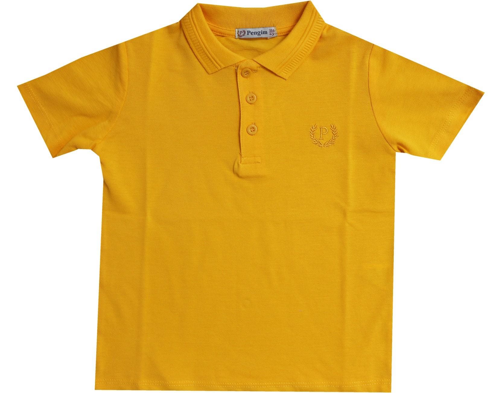 P2365 toptan erkek çocuk t-shirt 2-3-4-5 yaş