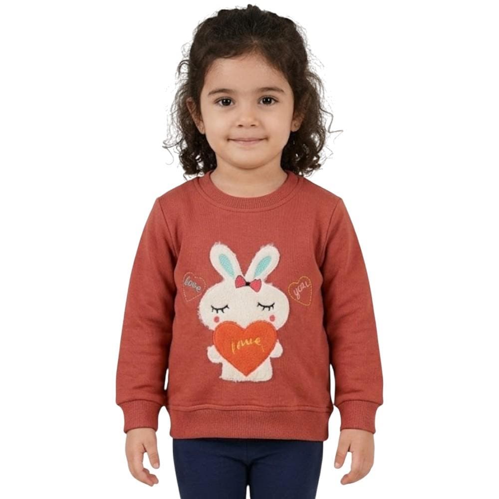 Çocuk mevsimlik tavşan nakışlı sweatshirt (1/5)