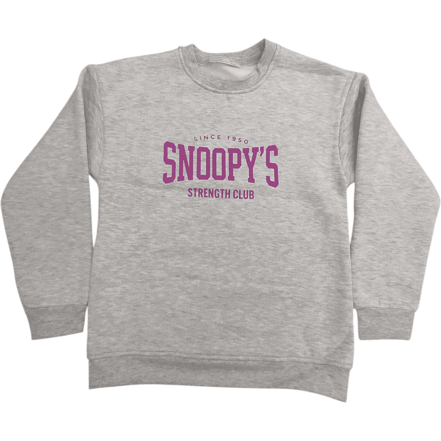 SNOOPY"S baskılı mevsimlik sweatshirtler (1/5)